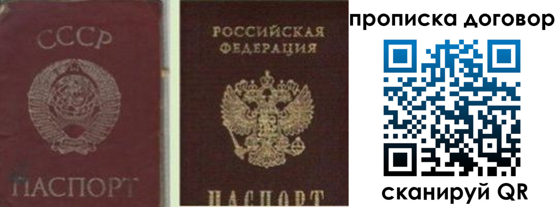прописка гарантия в Мурино